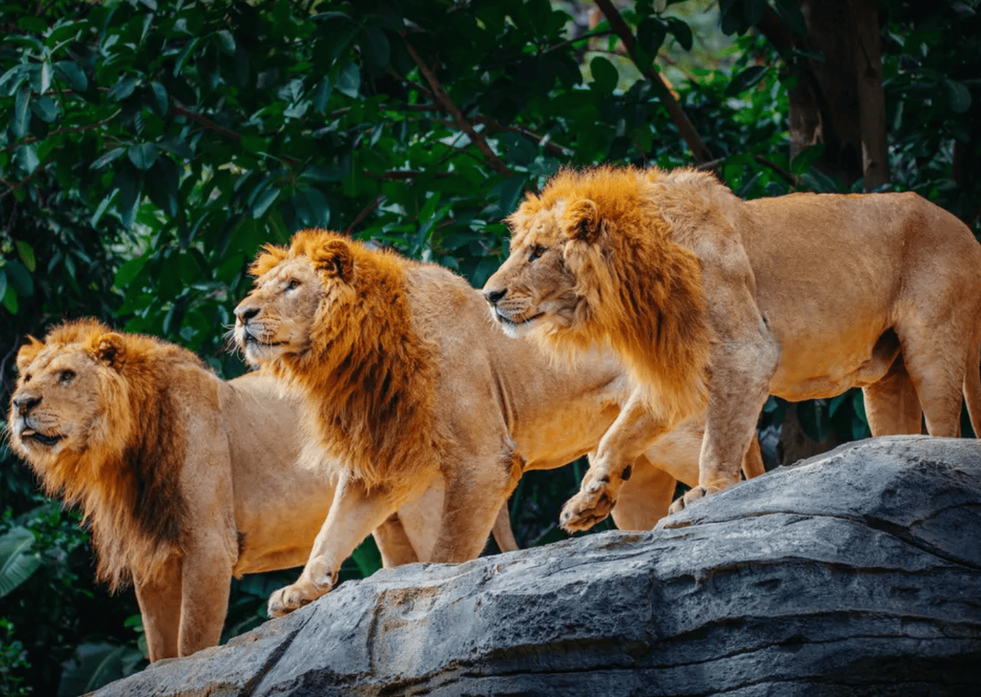 廣州好去處｜親子情侶